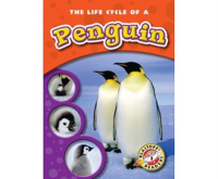 The_Life_Cycle_of_a_Penguin
